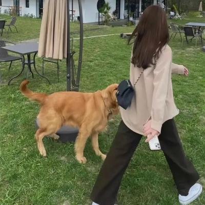 美国骗局